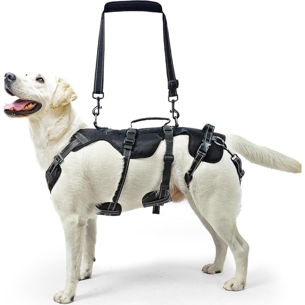 PUPTECK‎ Mobility Support Harness for Medium Large Dog Hind Leg Injury Aid